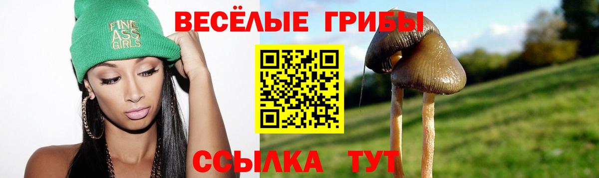 Галлюциногенные грибы Magic Shrooms Тосно